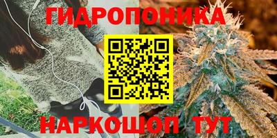 ECSTASY Будённовск