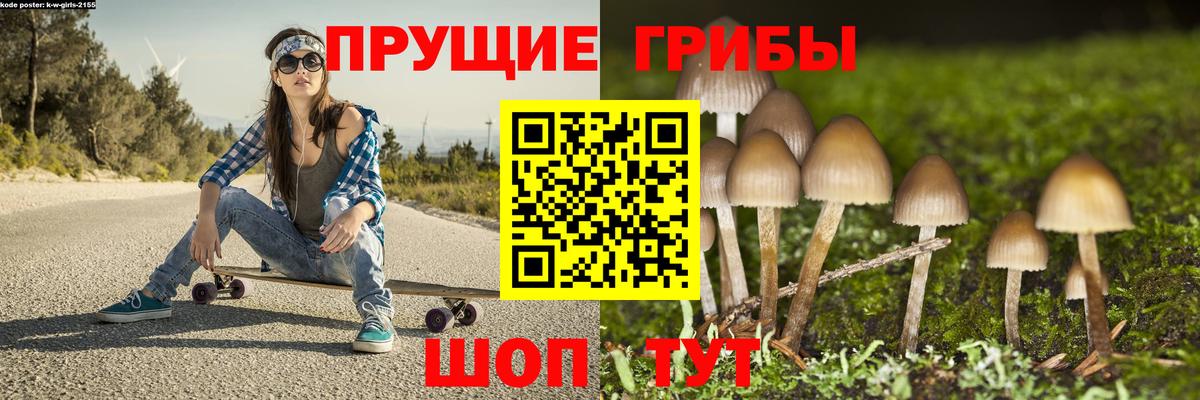 Псилоцибиновые грибы прущие грибы Новый Уренгой
